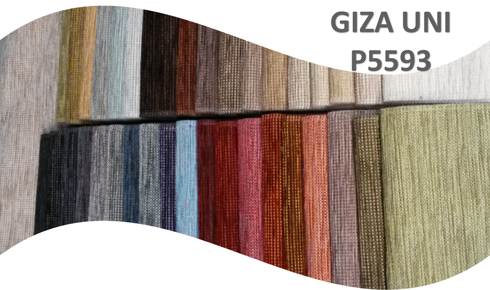 Giza uni P5593