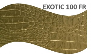 exotic 100fr